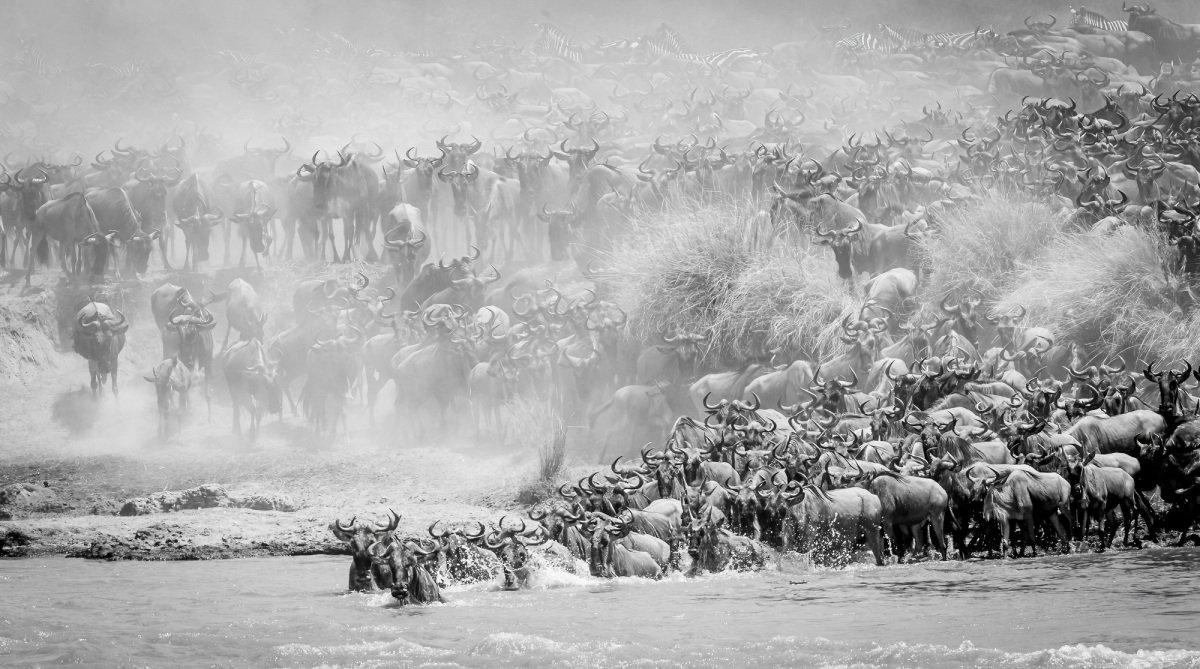 Maasai-Mara-2012-7240-Edit-Edit