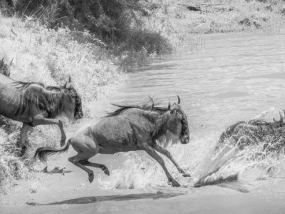 Kenya-2014-8580-Edit-2