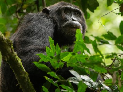 Uganda-2014-597