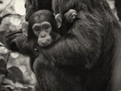 Uganda-2014-68