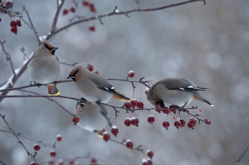 DSC_9360-Edit