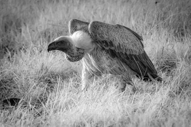 Kempinski-Camp-2020-2944-Edit-2