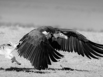 Kenya-2014-727-Edit-2