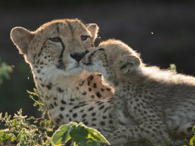 4.Phinda-2016-5916