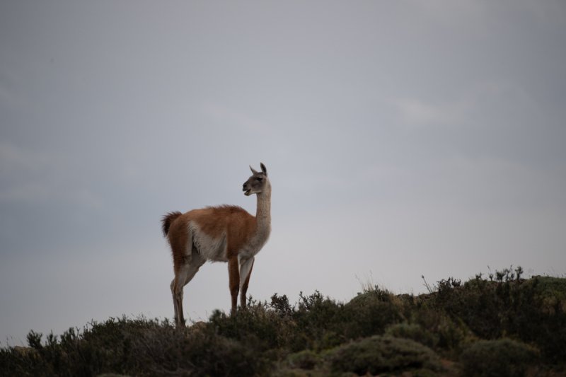 PATAGONIA-2018-10