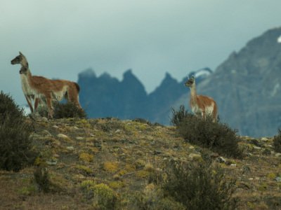 Patagonia2012-1195