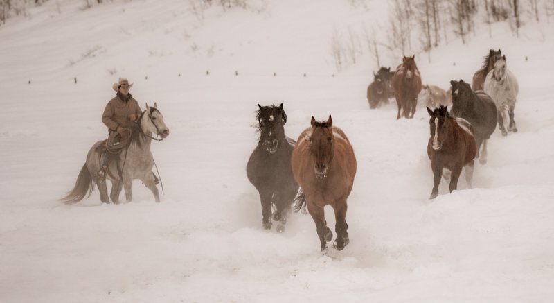 Colorado-2019-4203
