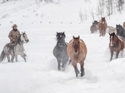 Colorado-2019-4204