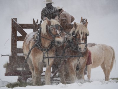 Colorado-2019-5481