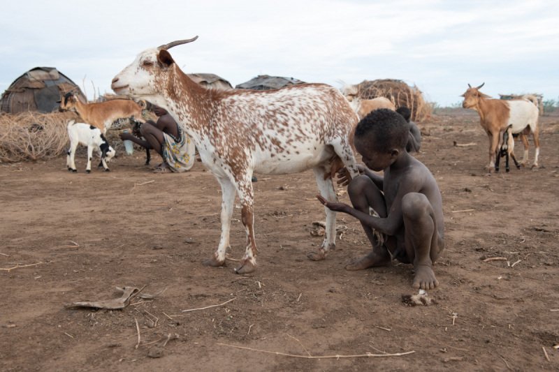 Ethiopia-2018-1288