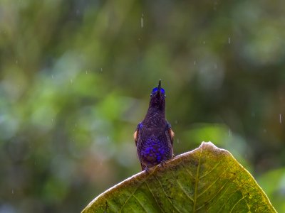 DSC_2302-Edit-Edit-Edit-Edit