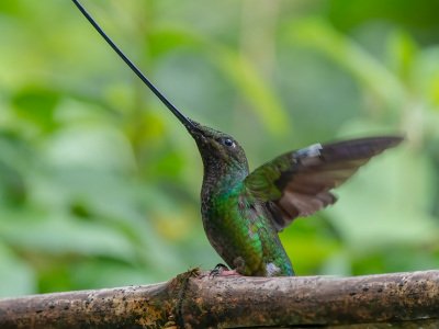 Equador-2014-1054-Edit-Edit