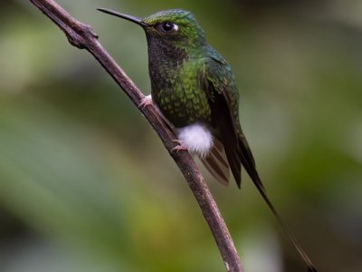 Equador-2014-243-Edit-2
