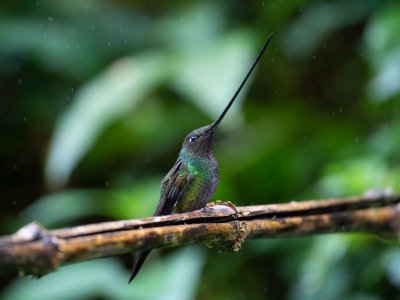 Equador-2014-3228-Edit-Edit