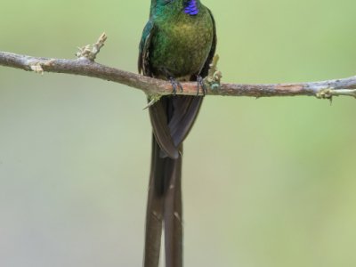 Equador-2014-35-Edit