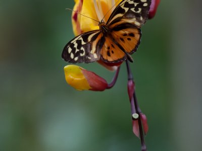 Equador-2014-457-Edit-Edit