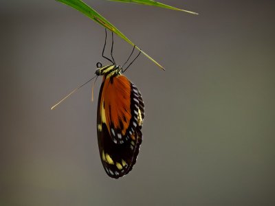 Equador-2014-505-Edit-Edit