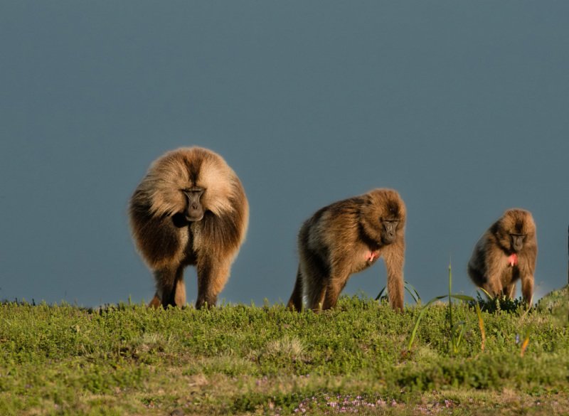 Ethiopia2013-14260-Edit-Edit