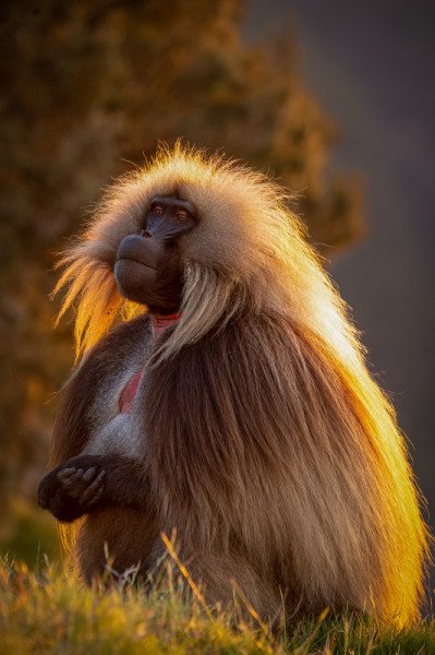 Ethiopia2013-15167-2-Edit-Edit