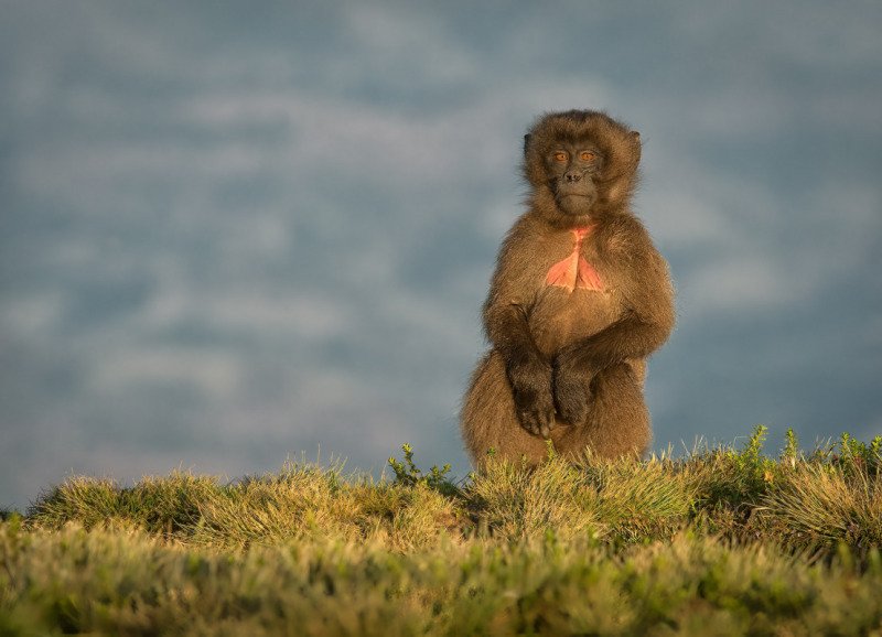 Ethiopia2013-15245-2-Edit-Edit