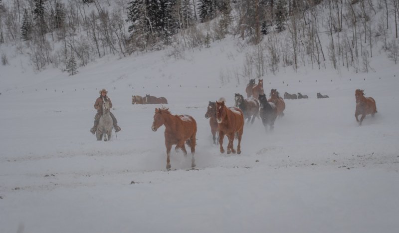 Colorado-2019-4237