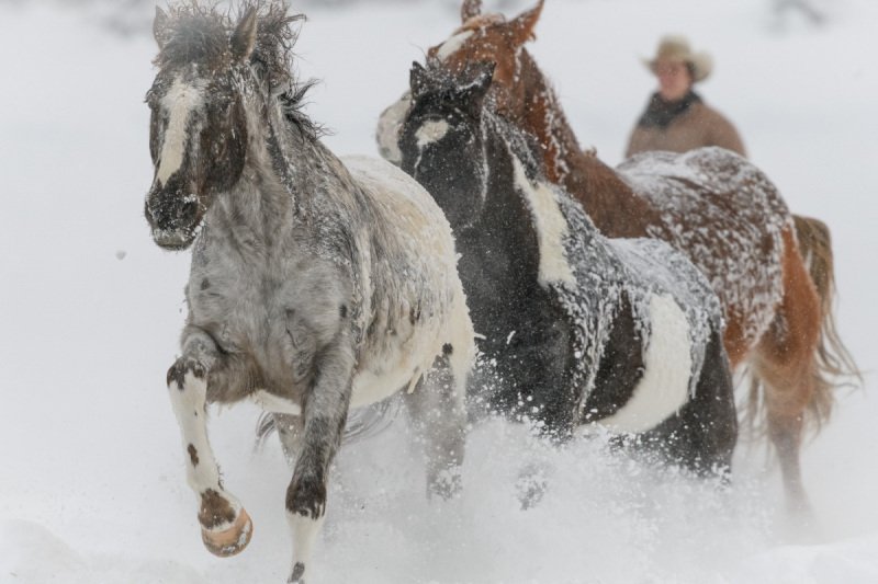 Colorado-2019-5994