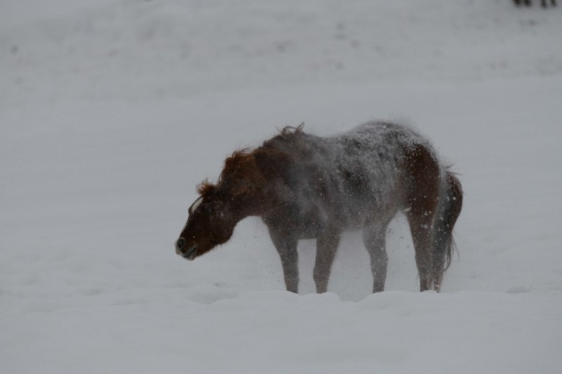 Colorado-2019-6698