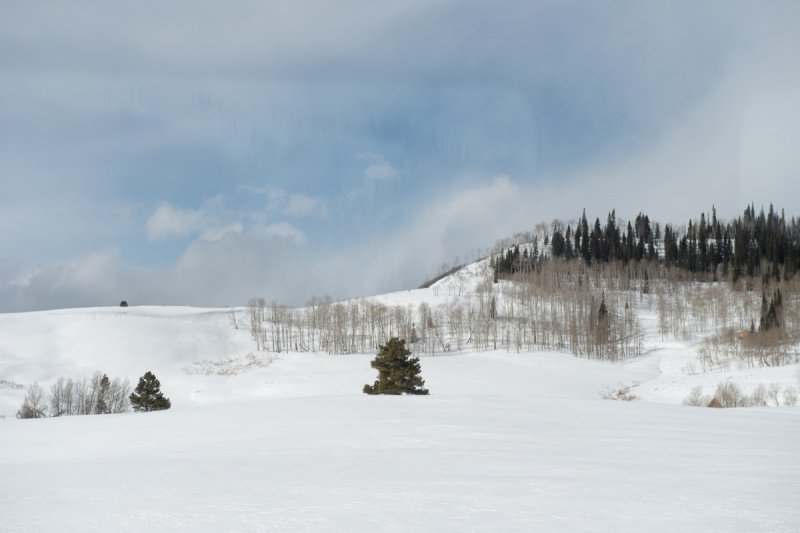 Colorado-Horses-2020-2011