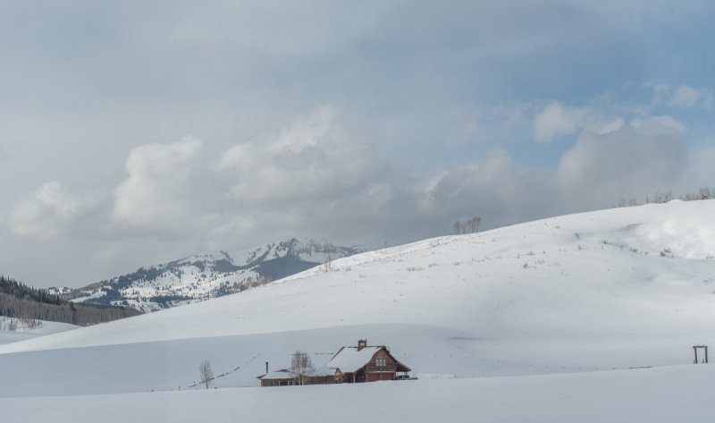 Colorado-Horses-2020-2014