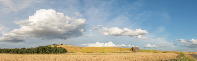 Palouse-2015-1029