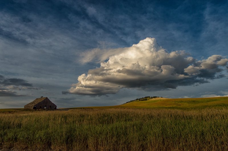 Palouse-2015-1034