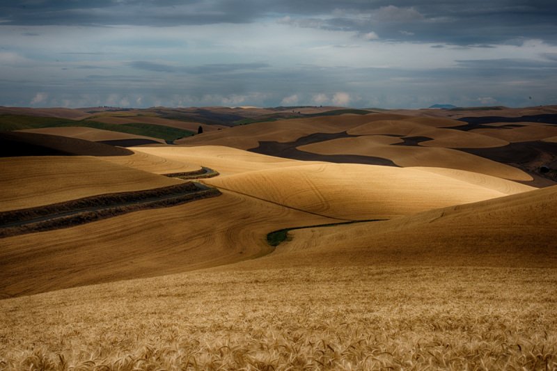 Palouse-2015-120