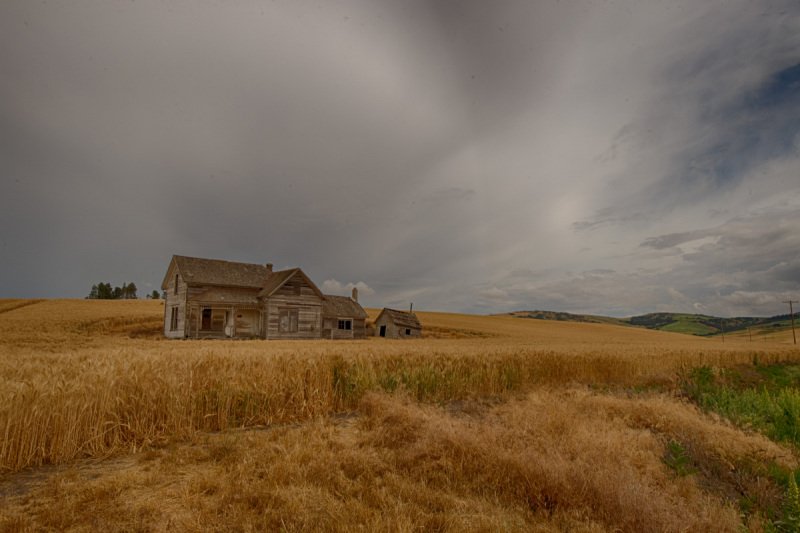 Palouse-2015-167