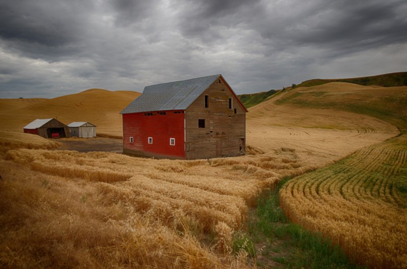 Palouse-2015-224