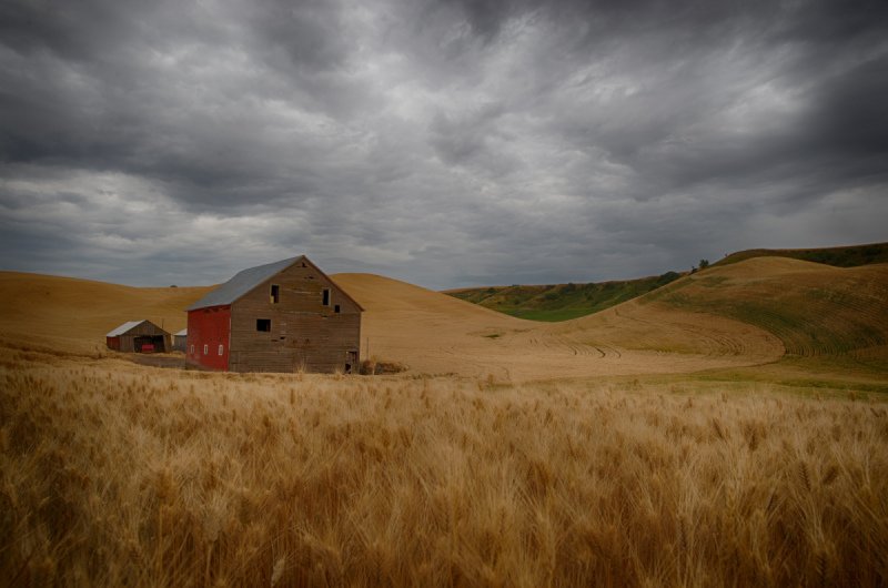 Palouse-2015-232