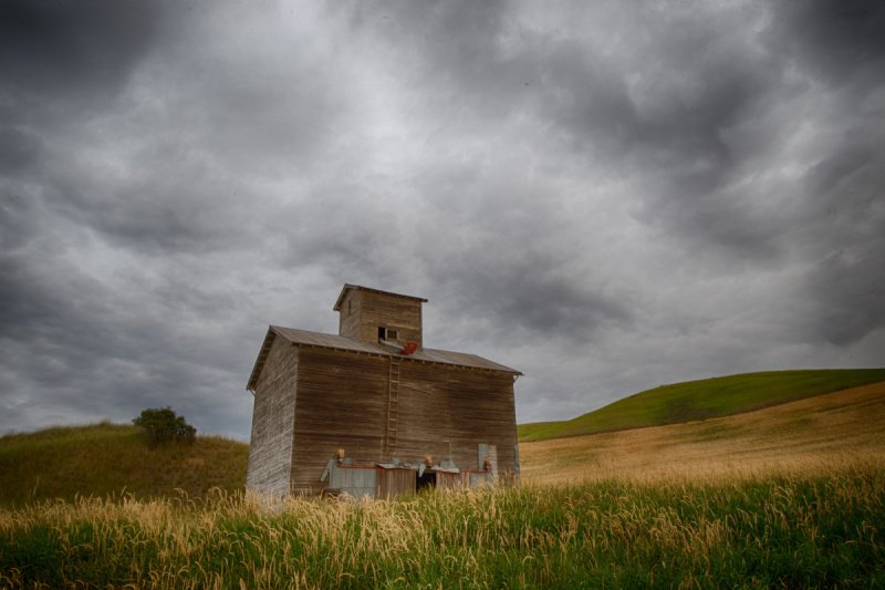 Palouse-2015-263