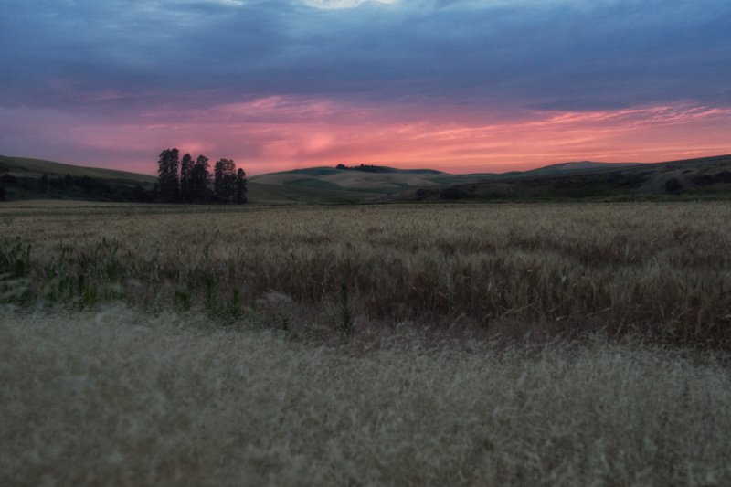 Palouse-2015-30