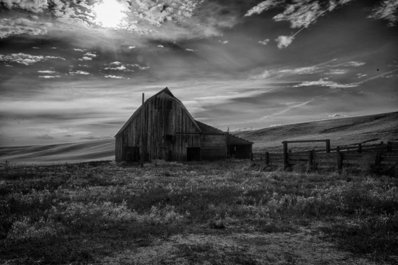 Palouse-2015-424