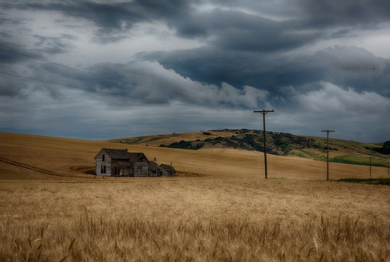 Palouse-2015-83