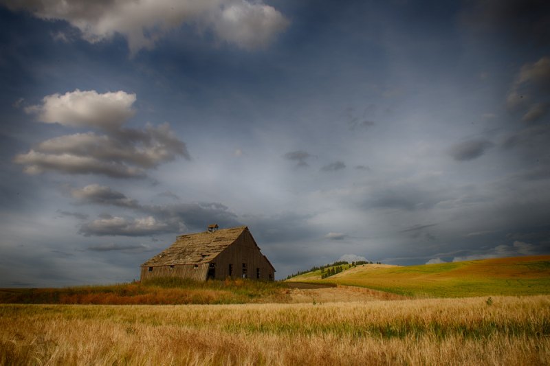 Palouse-2015-945