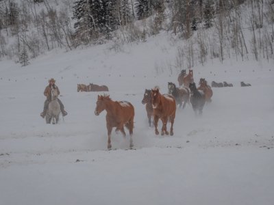 Colorado-2019-4237