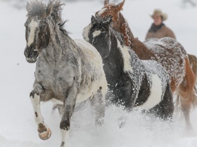 Colorado-2019-5994