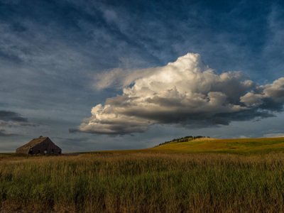 Palouse-2015-1034