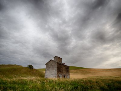 Palouse-2015-266