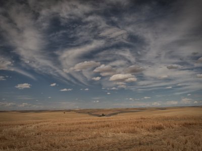 Palouse-2015-853