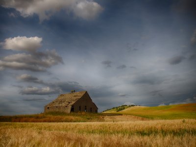 Palouse-2015-945