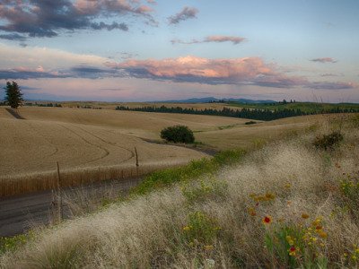 Palouse-2015-978