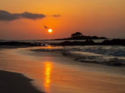 Galapogous-2014-3456