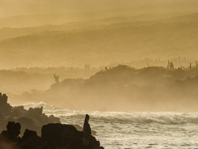 Galapogous-2014-5378-Edit