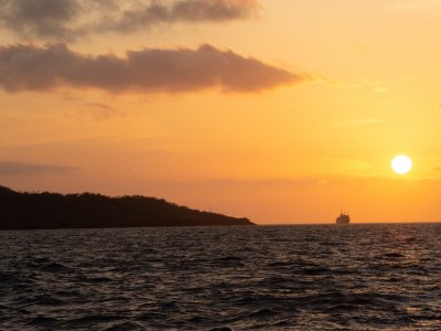 Galapogous-2014-7989